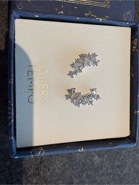Silver Crystal Ear Climbers